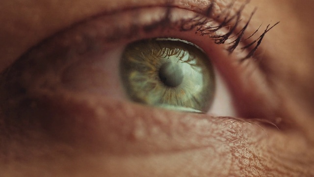 Video Reference: Brown, Head, Eye, Eyelash, Human body, Wood, Nerve, Tints and shades, Wrinkle, Cameras & optics