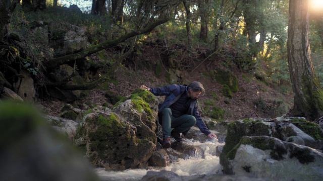 Video Reference: Plant, Tree, Natural landscape, Bedrock, Wood, Grass, Bank, Landscape, Trunk, Leisure