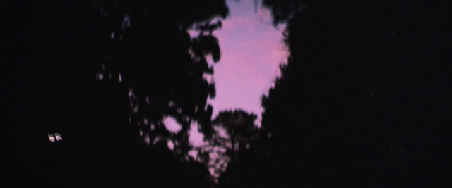 Video Reference: Purple, Sky, Violet, Font, Astronomical object, Magenta, Electric blue, Tree, Cloud, Pattern