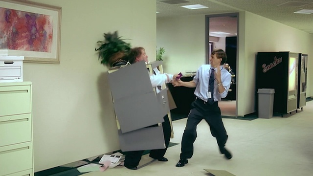 Video Reference: Plant, Interior design, Houseplant, Flooring, Event, Cleanliness, Cabinetry, Room, Job, Wood