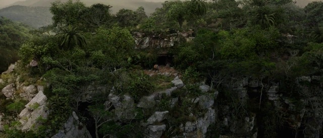 Video Reference: Plant, Tree, Bedrock, Natural landscape, Sky, Terrain, Formation, Landscape, Outcrop, Terrestrial plant