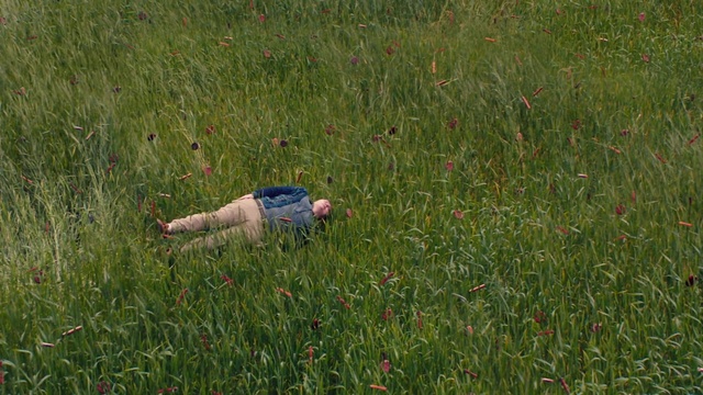 Video Reference: Plant, People in nature, Grass, Groundcover, Grassland, Meadow, Natural landscape, Prairie, Flowering plant, Agriculture