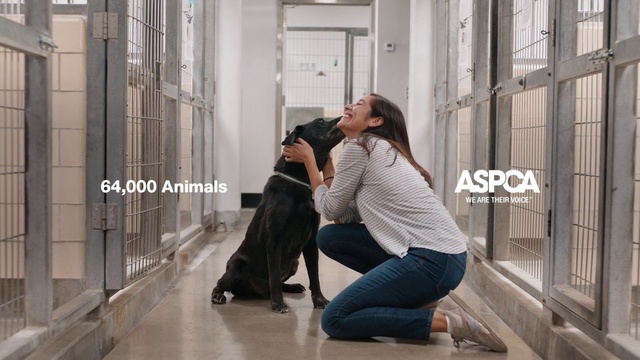 Video Reference: Jeans, Shoe, Leg, Comfort, Knee, Thigh, Flooring, Waist, Bag, Carnivore