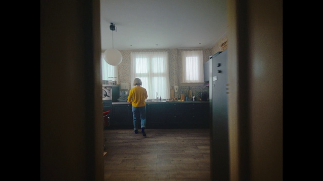 Video Reference: Fixture, Window, Wood, Floor, Flooring, Hardwood, Ceiling, Hall, Event, Room