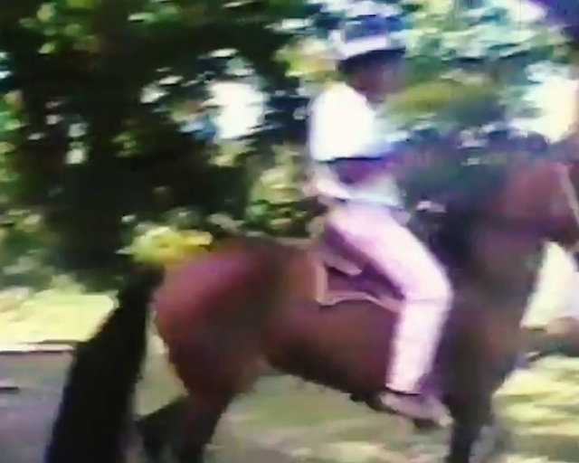 Video Reference: Horse, Working animal, Plant, Horse tack, Saddle, Horse supplies, Bridle, Equestrian sport, Equestrianism, Grass