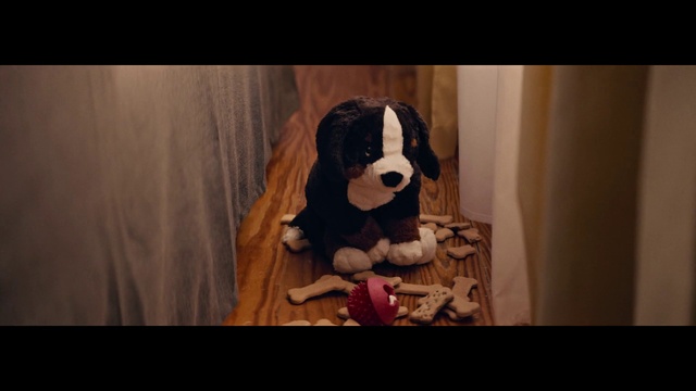 Video Reference: Dog, Dog breed, Carnivore, Toy, Companion dog, Fawn, Working animal, Wood, Ball, Snout