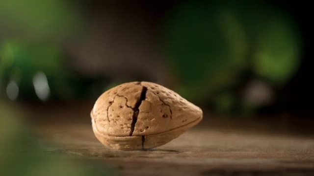 Video Reference: Wood, Ingredient, Cuisine, Natural material, Landscape, Plant, Artifact, Dish, Soil, Tree