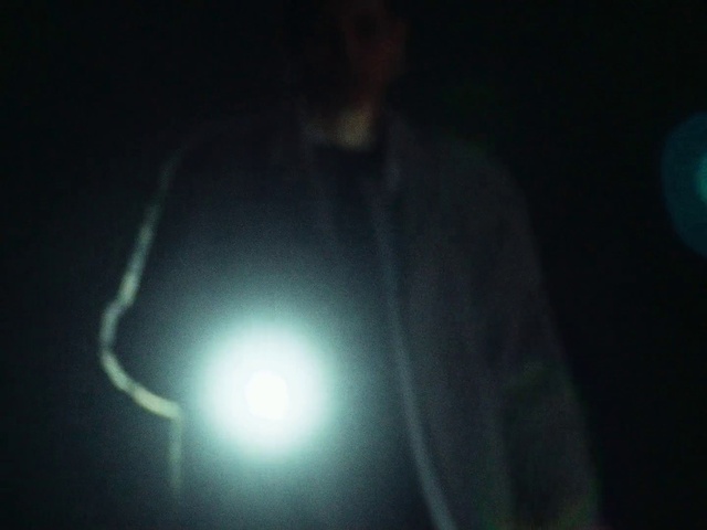 Video Reference: Automotive lighting, Human body, Flash photography, Electric blue, Lens flare, Tree, Astronomical object, Entertainment, Space, Sky