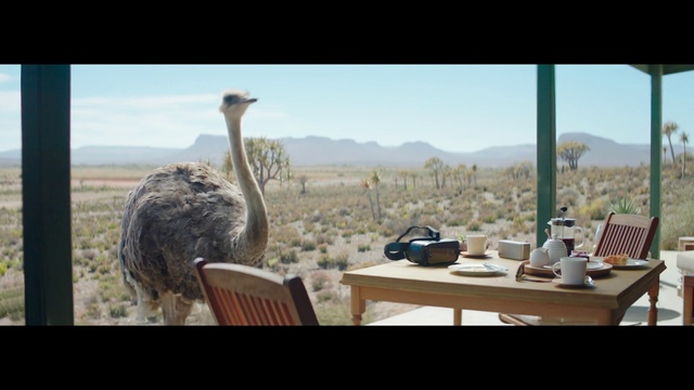 Video Reference: Sky, Table, Ratite, Furniture, Plant, Window, Emu, Ostrich, Beak, Mountain