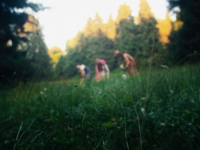 Video Reference: Plant, Atmosphere, Sky, Natural landscape, Tree, People in nature, Grass, Fawn, Carnivore, Grassland