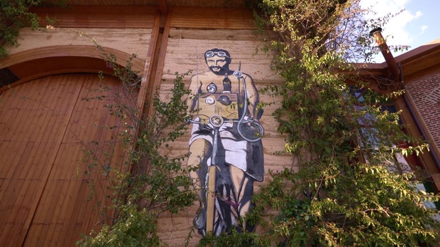 Video Reference: Plant, Vegetation, Wood, Tree, Art, Shorts, Facade, Grass, Painting, Leisure