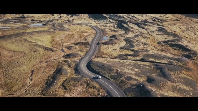 Video Reference: Plant, Tree, Slope, Natural landscape, Asphalt, Road surface, Wood, Grass, Sky, Tints and shades