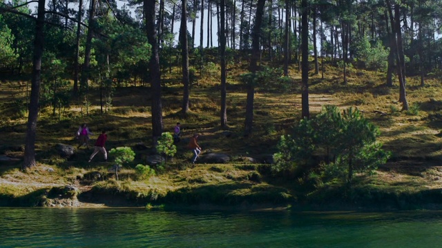 Video Reference: Water, Plant, Plant community, Ecoregion, Natural landscape, Tree, Vegetation, Lake, Terrestrial plant, Lacustrine plain