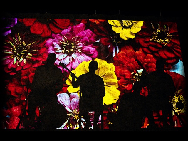 Video Reference: Rectangle, Flower, Art, Fixture, Creative arts, Font, Petal, Magenta, Tints and shades, Painting