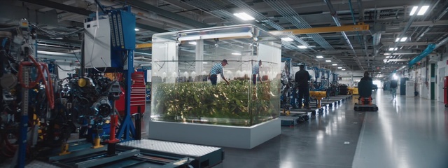 Video Reference: Plant, Interior design, Automotive design, Retail, Engineering, Glass, Leisure, Flowerpot, Commercial building, Facade