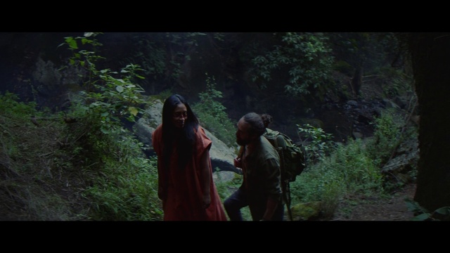 Video Reference: Plant, People in nature, Flash photography, Terrestrial plant, Natural landscape, Happy, Wood, Tree, Grass, Tints and shades