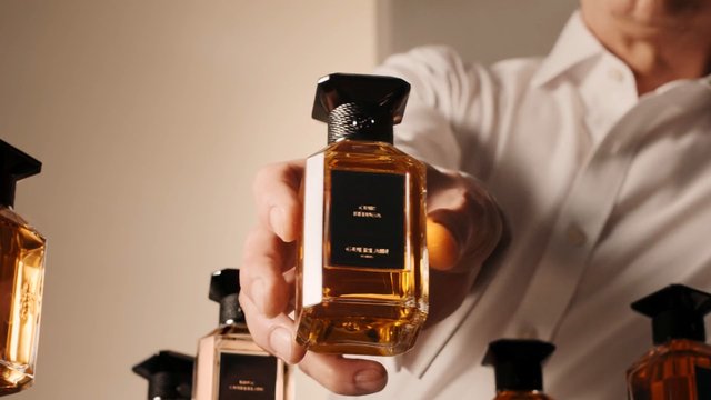 Video Reference: perfume, fragrance, bottle, luxury, cosmetic, beauty, product shot, hand, indoor, warm light, glass, scent, elegant, advertising, close-up