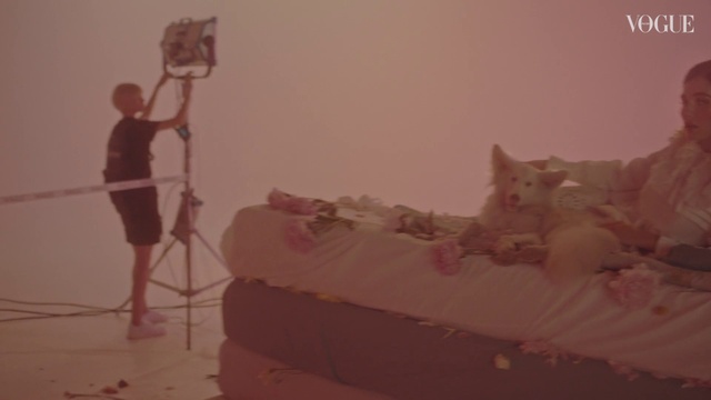 Video Reference: Cat, Grey, Art, Carnivore, Felidae, Bed, Toy, Whiskers, Comfort, Linens
