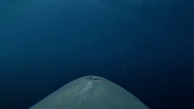 Video Reference: Water, Sky, Cloud, Hood, Underwater, Air travel, Wing, Horizon, Astronomical object, Landscape