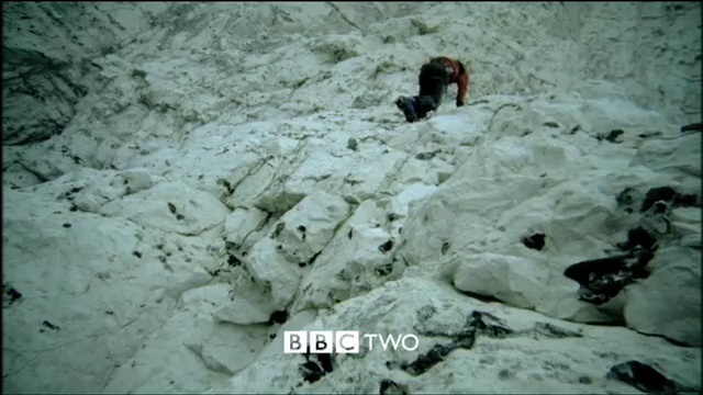 Video Reference: Bedrock, Snow, Freezing, Beak, Flightless bird, Soil, Duck, Landscape, Winter, Font