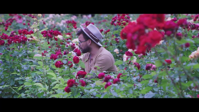 Video Reference: Flower, Plant, Petal, Pink, Woody plant, People in nature, Magenta, Grass, Shrub, Flowering plant