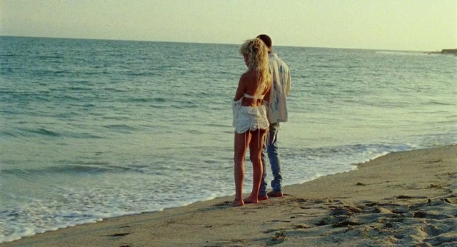 Video Reference: Water, Sky, People on beach, People in nature, Azure, Beach, Happy, Gesture, Coastal and oceanic landforms, Sunlight