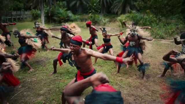 Video Reference: Plant, Shorts, Outdoor recreation, Tree, Leisure, Recreation, Grass, Event, Grassland, Fun