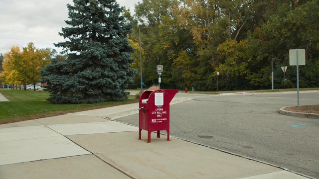Video Reference: Plant, Tree, Road surface, Asphalt, Motor vehicle, Thoroughfare, Grass, Gas, Landscape, Sidewalk
