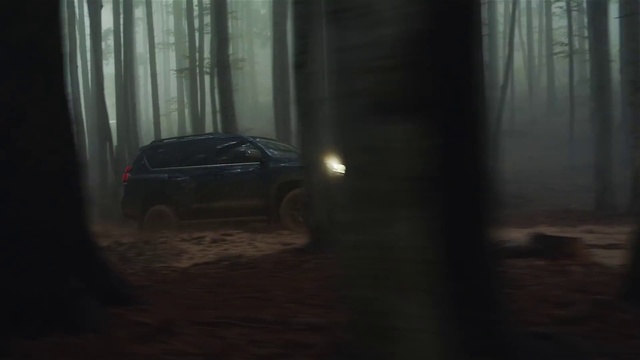 Video Reference: Tire, Wheel, Vehicle, Automotive lighting, Car, Automotive tire, Automotive design, Wood, Alloy wheel, Vehicle door