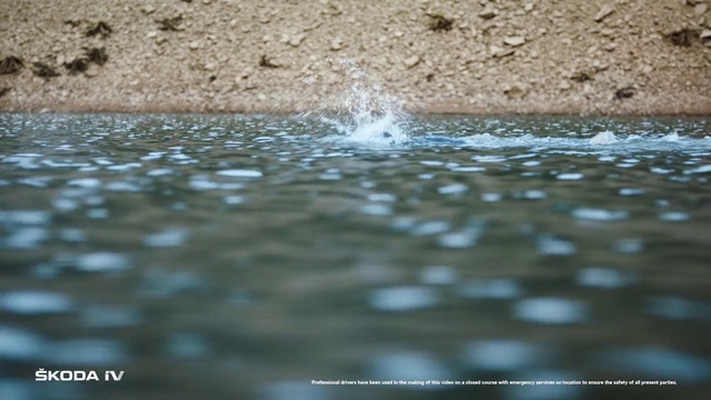 Video Reference: Water, Liquid, Fluid, Road surface, Moisture, Natural landscape, Asphalt, Precipitation, Grass, Reflection