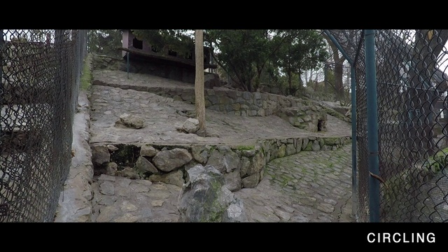 Video Reference: Plant, Bedrock, Tree, Grass, Landscape, Soil, Font, Trunk, Rock, History