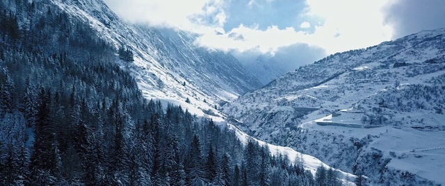 Video Reference: Cloud, Sky, Mountain, Plant, Snow, Slope, Tree, Natural landscape, Highland, Larch
