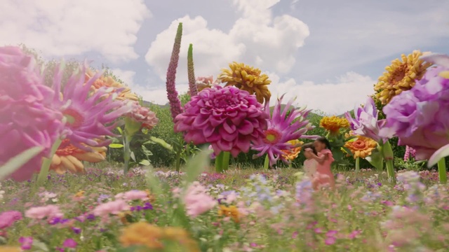 Video Reference: Cloud, Flower, Sky, Plant, Plant community, Ecoregion, Botany, Petal, Pink, Grass