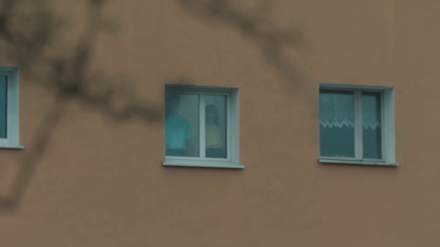 Video Reference: Window, Building, Sky, Wood, Fixture, Rectangle, Tints and shades, Facade, Roof, Tree