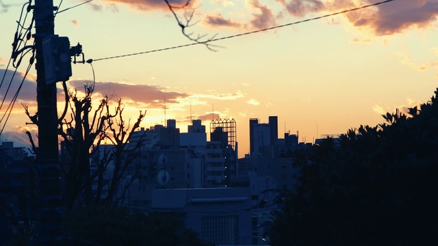 Video Reference: Cloud, Sky, Building, Atmosphere, Daytime, Afterglow, Leaf, Nature, Branch, Dusk