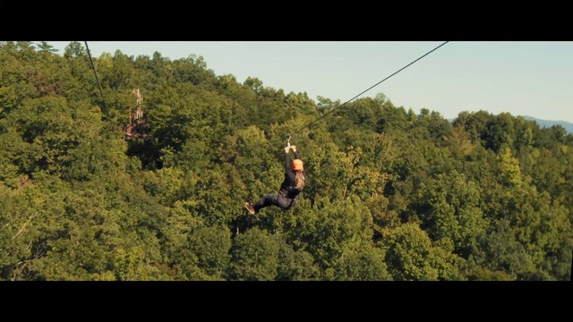 Video Reference: Plant, Branch, Tree, Slope, Sky, People in nature, Woody plant, Grass, Grassland, Landscape