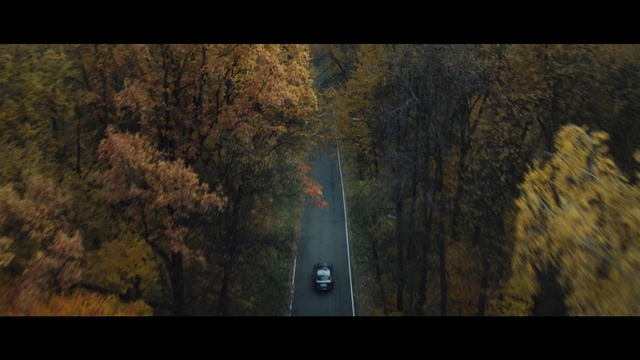 Video Reference: Natural landscape, Plant, Automotive lighting, Road surface, Car, Wood, Asphalt, Trunk, Tree, Thoroughfare