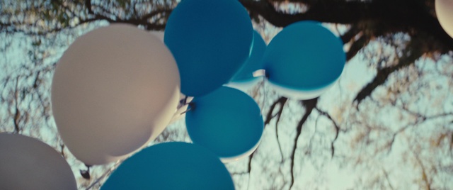 Video Reference: Sky, Daytime, Azure, Plant, Branch, Balloon, Lighting, Sunlight, Tree, Material property