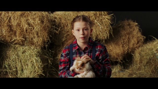 Video Reference: Toy, People in nature, Grass, Fawn, Carnivore, Companion dog, Happy, Adaptation, Dog breed, Toy dog