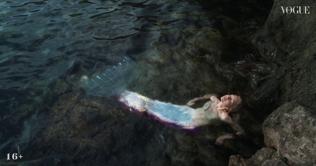 Video Reference: Water, Body of water, Underwater, Marine biology, Recreation, Leisure, Foot, Rock, Fish, Lake