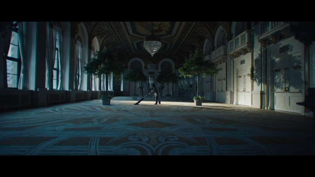 Video Reference: World, Tree, Building, Road surface, Tints and shades, City, Plant, Symmetry, Facade, Art