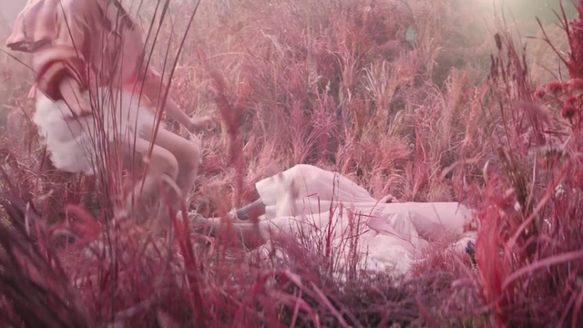 Video Reference: Plant, Branch, Twig, Atmospheric phenomenon, Grass, Freezing, Natural landscape, Grassland, Tints and shades, Meadow