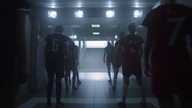 Video Reference: Standing, Horse, Grey, Working animal, Horse supplies, Midnight, Automotive lighting, Horse tack, Darkness, Personal protective equipment