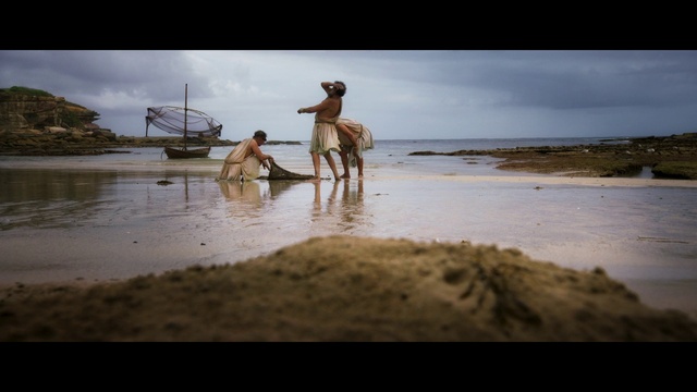 Video Reference: Cloud, Water, Sky, Horse, People on beach, Working animal, Beach, Happy, Coastal and oceanic landforms, Fawn