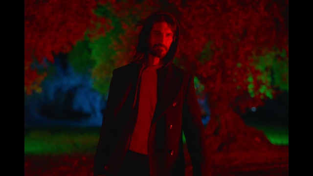 Video Reference: Nature, Coat, Human, Textile, Plant, Flash photography, Art, People in nature, Tree, Blazer