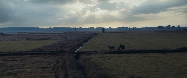 Video Reference: Cloud, Sky, Plant, Natural landscape, Land lot, Working animal, Tree, Grass, Grassland, Dusk