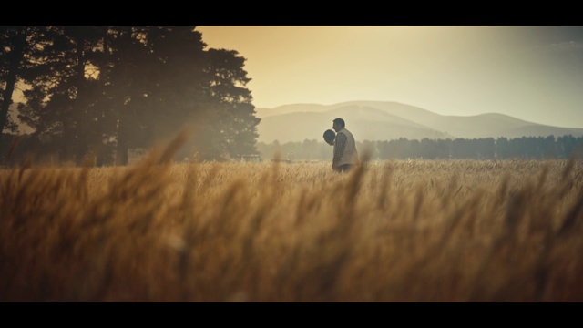 Video Reference: Atmosphere, People in nature, Sky, Cloud, Flash photography, Natural landscape, Plant, Sunlight, Tree, Atmospheric phenomenon