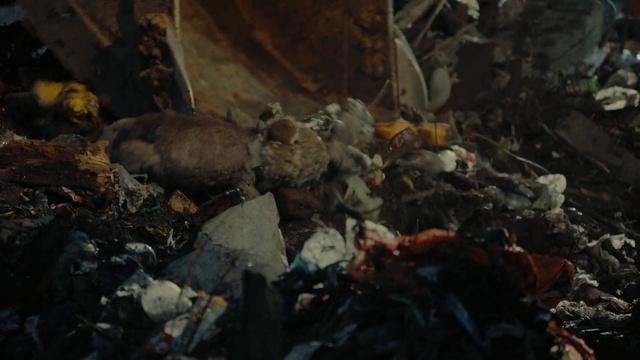 Video Reference: Wood, Pollution, Bedrock, Waste, Soil, Terrestrial animal, Plastic, Rock, Litter, Scrap