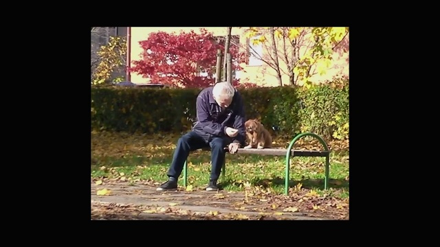 Video Reference: Plant, People in nature, Tree, Flash photography, Grass, Picture frame, Happy, Font, Tints and shades, Leisure