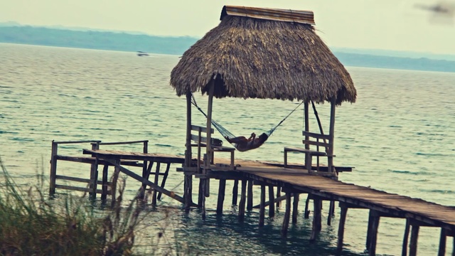 Video Reference: Water, Thatching, Sky, Plant, Wood, Lake, Arecales, Morning, Leisure, Shade